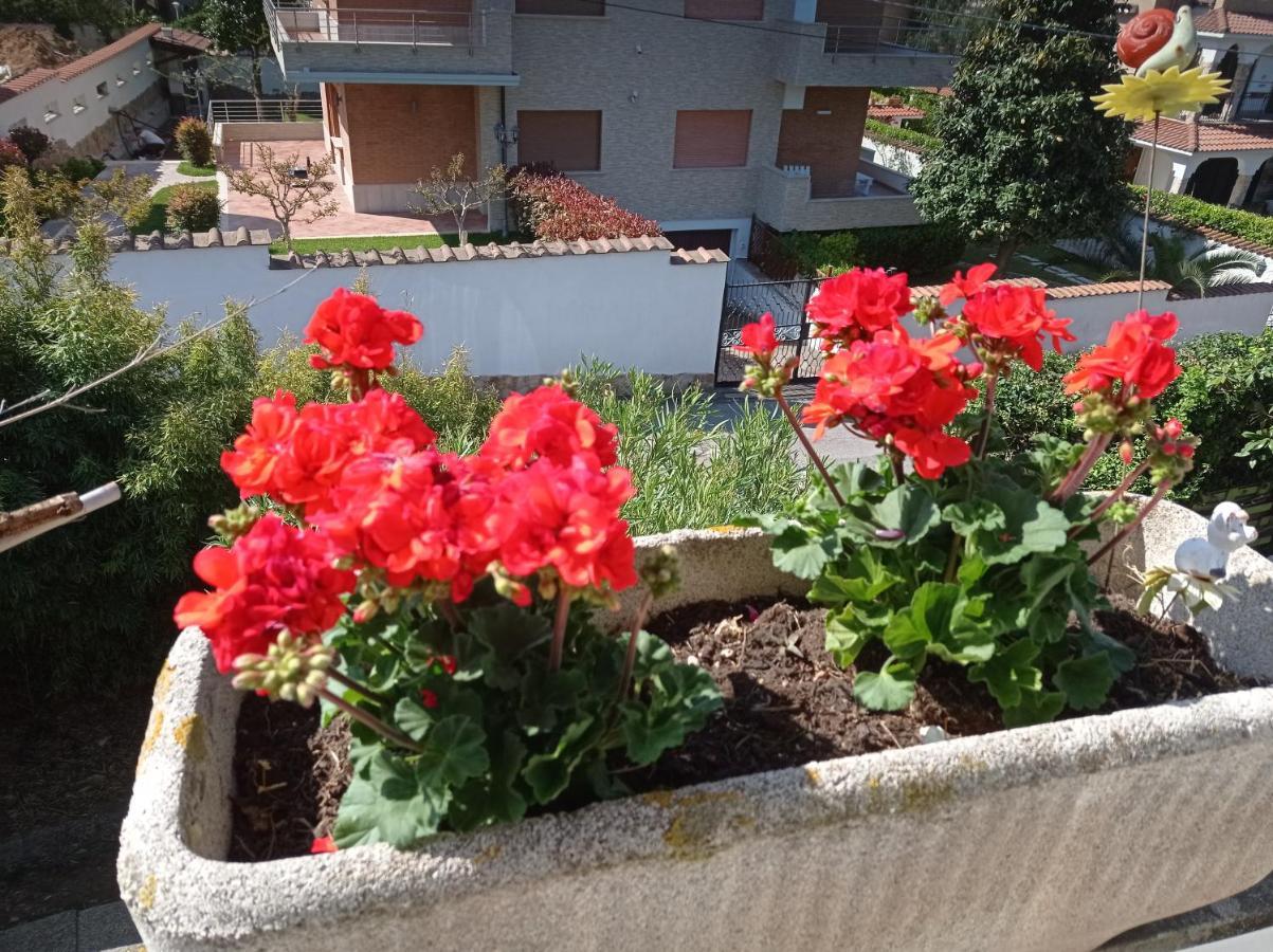 Villa Nerina Alloggio Turistico Anzio Luaran gambar